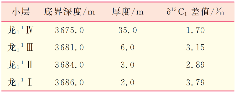 碳同位素分析實(shí)例數(shù)據(jù)